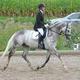 Reiten: Geeigneter Ausbinder für Anfänger?