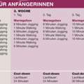 Welcher dieser beiden Laufprogramme ist für Anfänger besser?