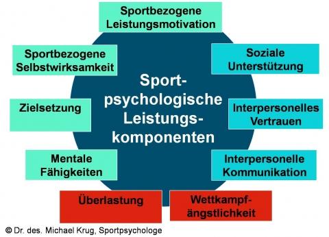  - (Psychologie, Sportpsychologie, Fragebogen)