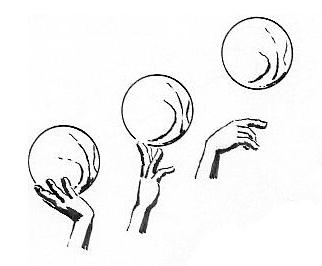 Bild 1 - (Basketball, Liegestütze, Finger)