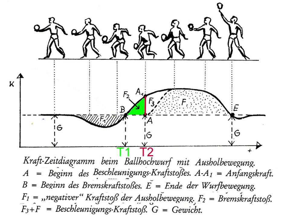 Prinzip Der Optimalen Tendenz Im Beschleunigungsverlauf Anfangskraft bei einem Sprung (Schule, Schulsport, Biomechanik)