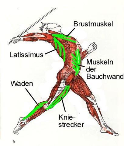 Krafttraining fürs Speerwerfen? (Speerwurf, Speer werfen)