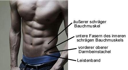 Bauchmuskeln oder nicht? (Training, Bodybuilding, Anatomie)