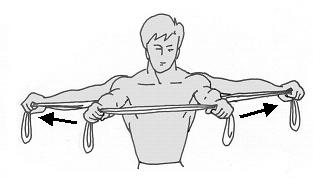 Abbildung 3 - (Training, Muskeln, Übungen)