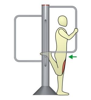 Dehnung der Beinstrecker im Stand - (dehnen, Dehnübungen, muskelgruppe)