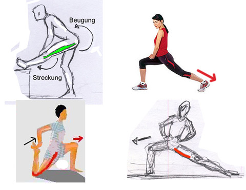 Dehnübungen für die Beinmuskeln - (dehnen, Spagat)