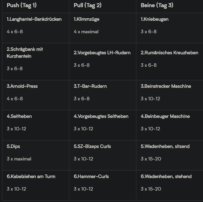 Guter Trainingsplan (Push/Pull)? (Muskelaufbau)