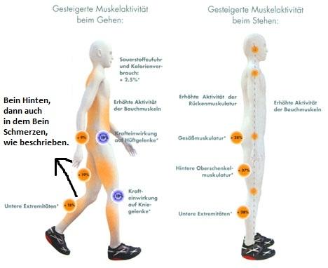 Schmerzen In Den Oberschenkeln Zusammenhang Mit Dem Sport Training Muskelkater Beine Schmerzen In Den Oberschenkeln Zusammenhang Mit Dem Sport Training Muskelkater Beine