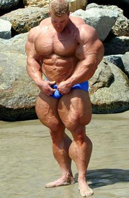 Muskeln - (Muskeln, Männer)