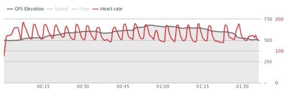 Intervall - (laufen, joggen, Cardio)